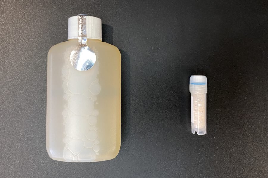 powdered synthetic urine vs premixed synthetic urine
